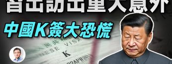 [ID: ZpmvmEs3qN0] Youtube Automatic