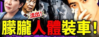 私密：[ID: 6MBu1M7EoRw] Youtube Automatic