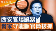 [ID: 9f723PvhXTQ] Youtube Automatic