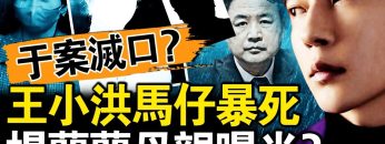 私密：[ID: a3W9bTSvmhY] Youtube Automatic