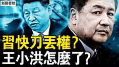 [ID: _E2sAOnGHlo] Youtube Automatic