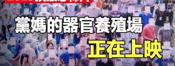 [ID: jyrTIpAIYQY] Youtube Automatic