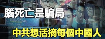 [ID: ngbA1gtzy4s] Youtube Automatic