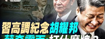 私密：[ID: OB1Fp8PQLbA] Youtube Automatic